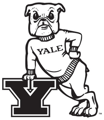 Yale Bulldogs 1972-1997 Primary Logo diy iron on heat transfer
